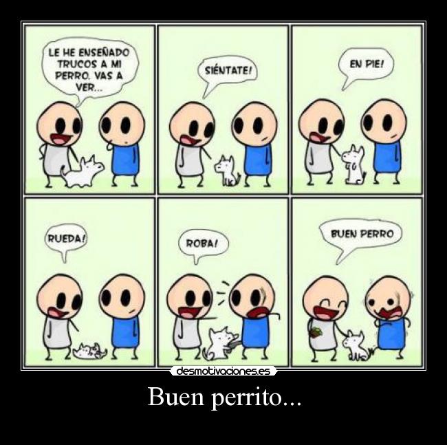 Buen perrito... -