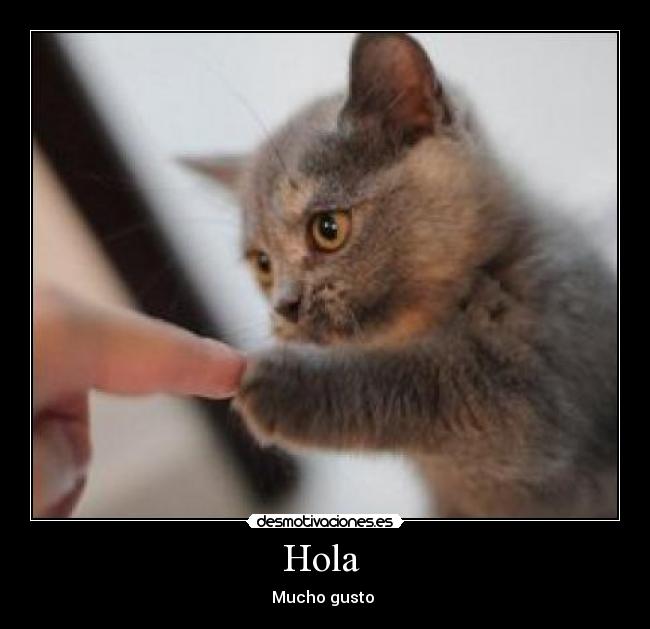 Hola  - 