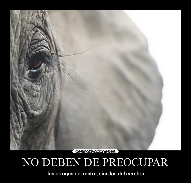 carteles deben preocupar las arrugas rostro sino cerebro elefante acv viejo mayor vejez desmotivaciones