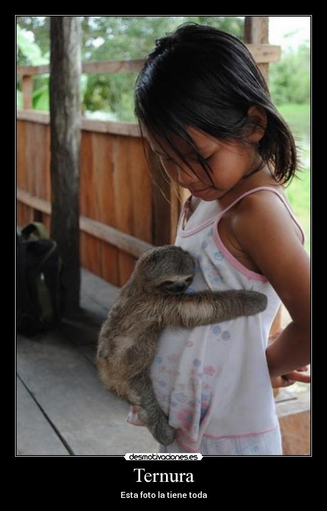 carteles ternura foto tiene toda desmotivaciones