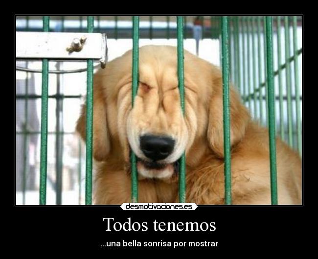 Todos tenemos - 