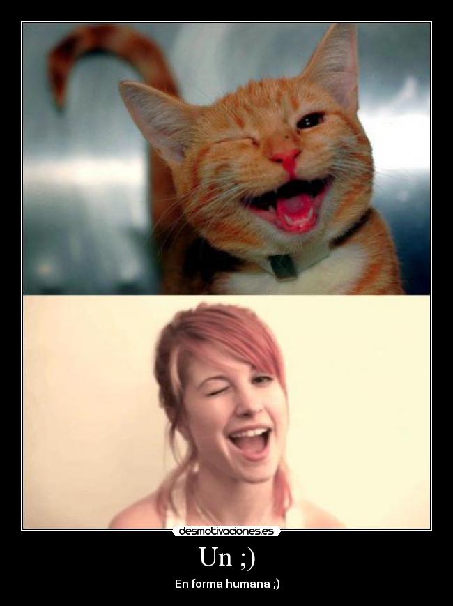 Un ;) - En forma humana ;)