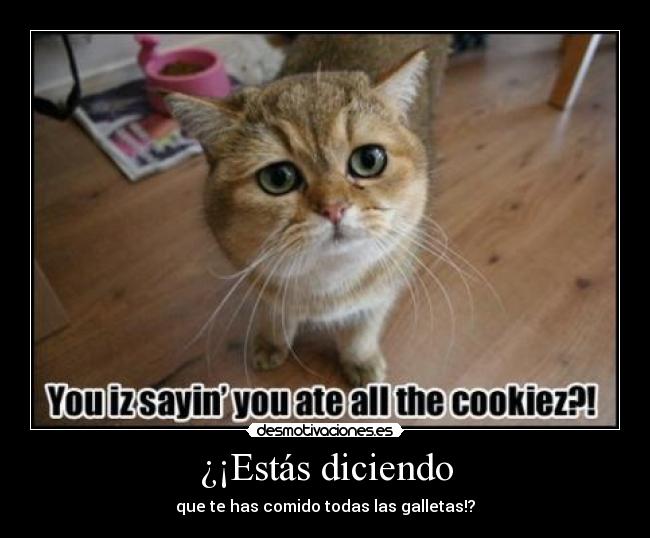 ¿¡Estás diciendo - 