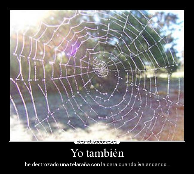 Yo también - he destrozado una telaraña con la cara cuando iva andando...