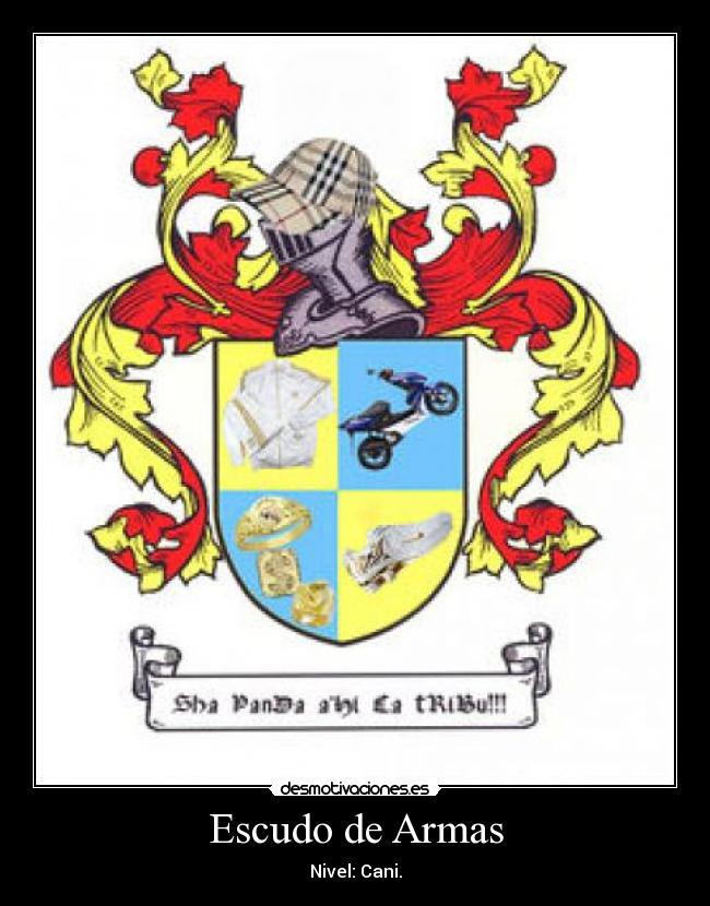 Escudo de Armas - Nivel: Cani.