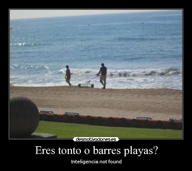 Eres tonto o barres playas? - 