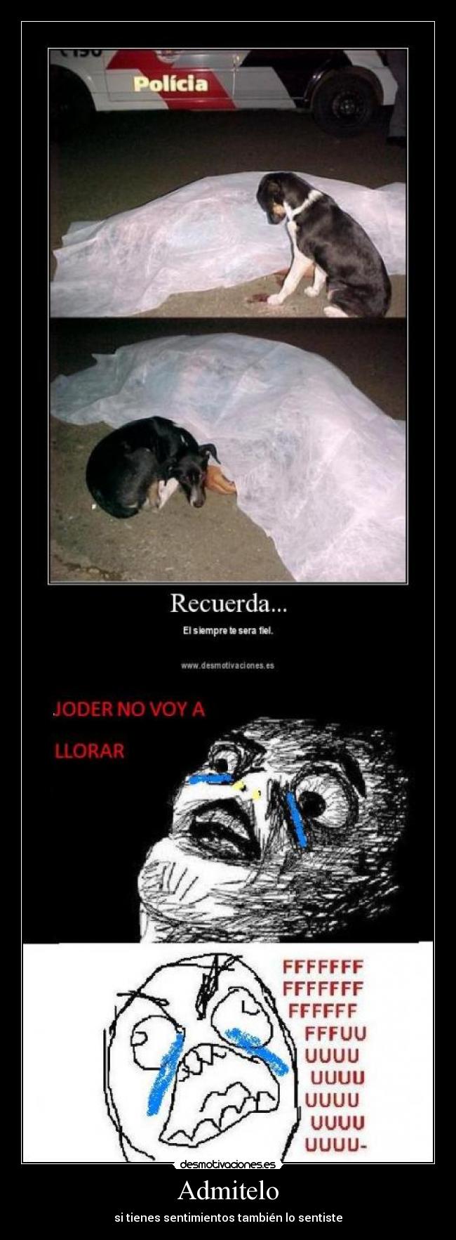 Admitelo - si tienes sentimientos también lo sentiste