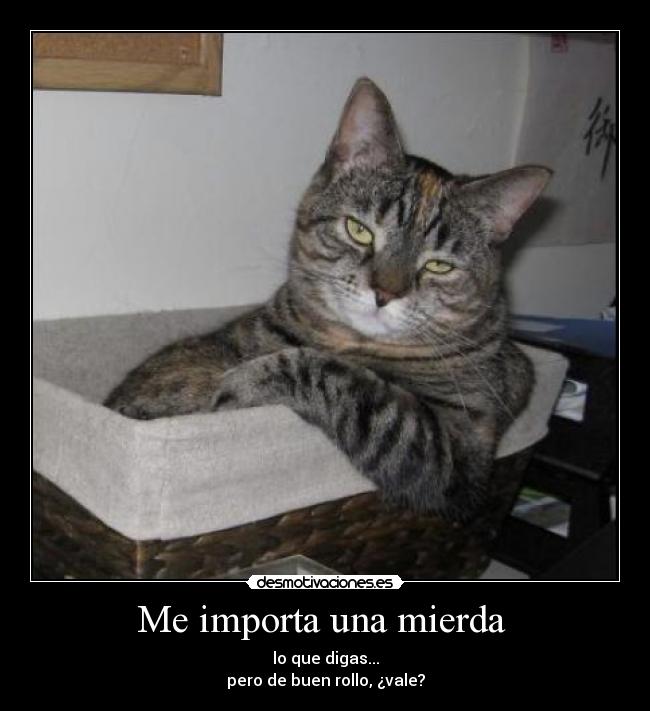 Me importa una mierda -