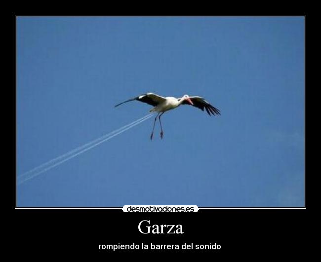 Garza -