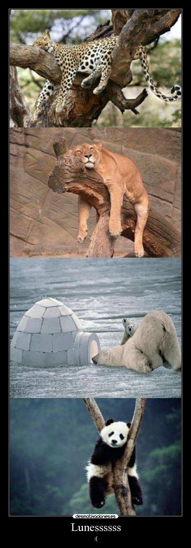 carteles luness desmotivaciones