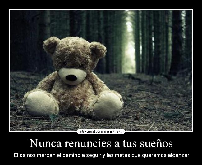 Nunca renuncies a tus sueños -