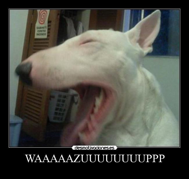 WAAAAAZUUUUUUUUPPP -