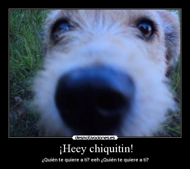 ¡Heey chiquitin! - 