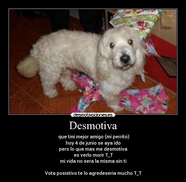 Desmotiva -  que tmi mejor amigo (mi perrito)
hoy 4 de junio se aya ido
pero lo que mas me desmotiva
es verlo morir T_T
mi vida no sera la misma sin ti

Vota posistivo te lo agredeseria mucho T_T