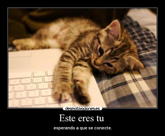 Este eres tu - esperando a que se conecte.