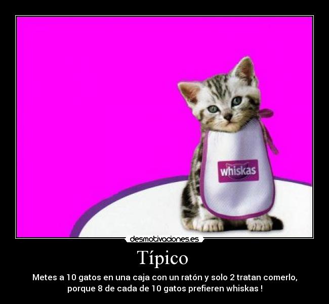 Típico - Metes a 10 gatos en una caja con un ratón y solo 2 tratan comerlo,
porque 8 de cada de 10 gatos prefieren whiskas !