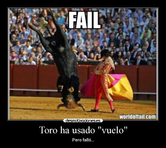 Toro ha usado vuelo - 