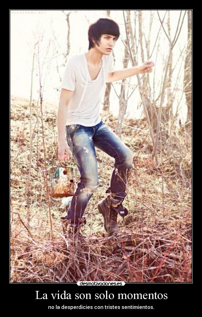 La vida son solo momentos - 