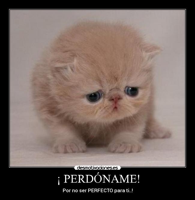 ¡ PERDÓNAME! - Por no ser PERFECTO para ti..!♥