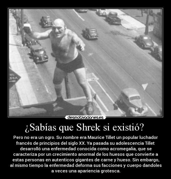 ¿Sabías que Shrek si existió?  - Pero no era un ogro. Su nombre era Maurice Tillet un popular luchador
francés de principios del siglo XX. Ya pasada su adolescencia Tillet
desarrolló una enfermedad conocida como acromegalia, que se
caracteriza por un crecimiento anormal de los huesos que convierte a
estas personas en autenticos gigantes de carne y hueso. Sin embargo,
al mismo tiempo la enfermedad deforma sus facciones y cuerpo dandoles
a veces una apariencia grotesca.