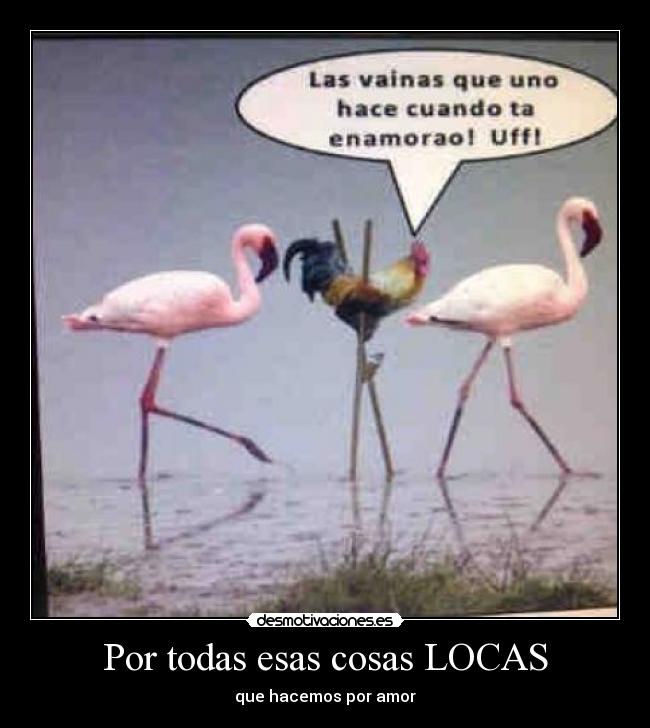 Por todas esas cosas LOCAS - 