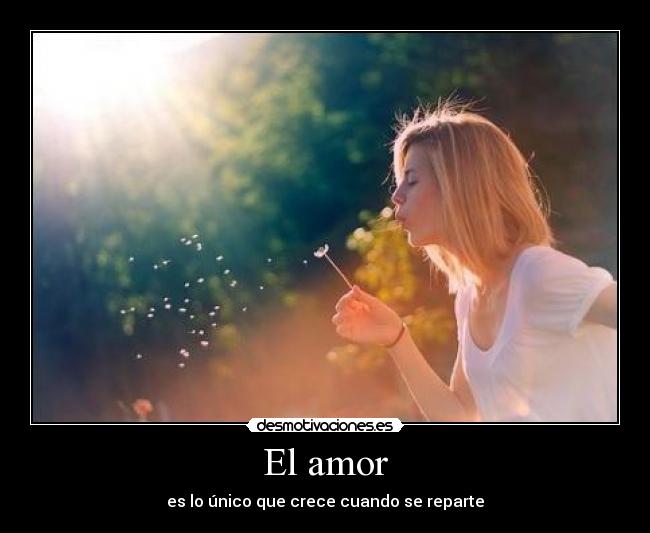 El amor - es lo único que crece cuando se reparte