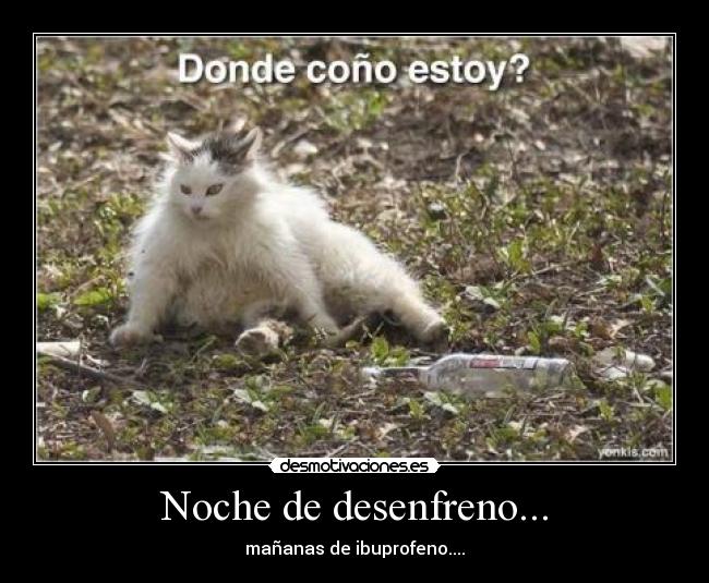 Noche de desenfreno... - mañanas de ibuprofeno....