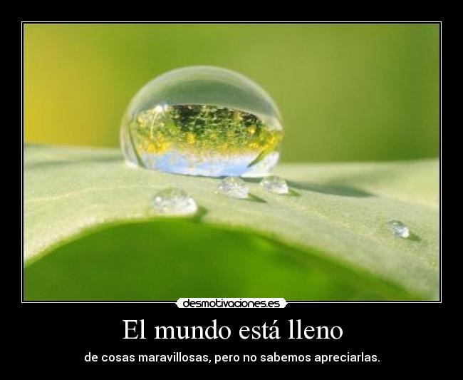 El mundo está lleno - de cosas maravillosas, pero no sabemos apreciarlas.