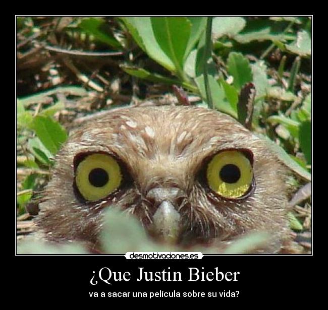 ¿Que Justin Bieber -