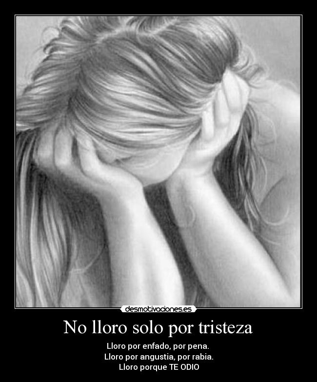No lloro solo por tristeza - Lloro por enfado, por pena. 
Lloro por angustia, por rabia.
Lloro porque TE ODIO
