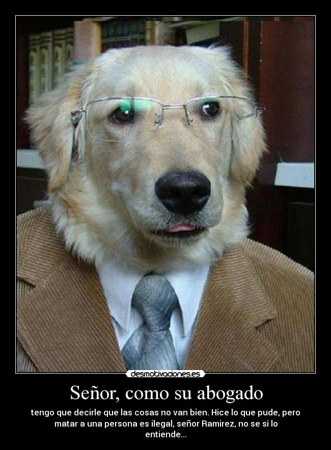 Señor, como su abogado - 