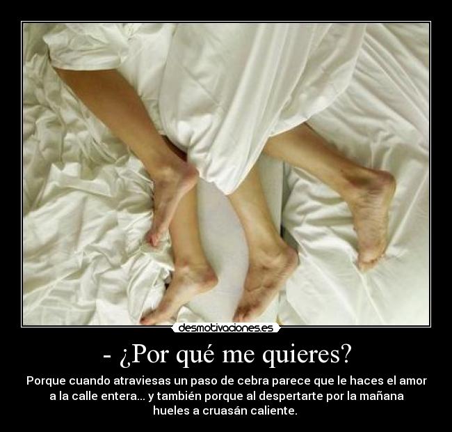 - ¿Por qué me quieres? - Porque cuando atraviesas un paso de cebra parece que le haces el amor
a la calle entera... y también porque al despertarte por la mañana
hueles a cruasán caliente. 