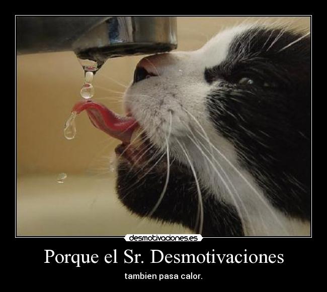 Porque el Sr. Desmotivaciones - tambien pasa calor.