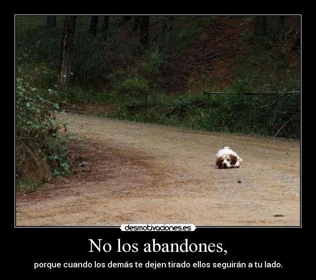 No los abandones, -