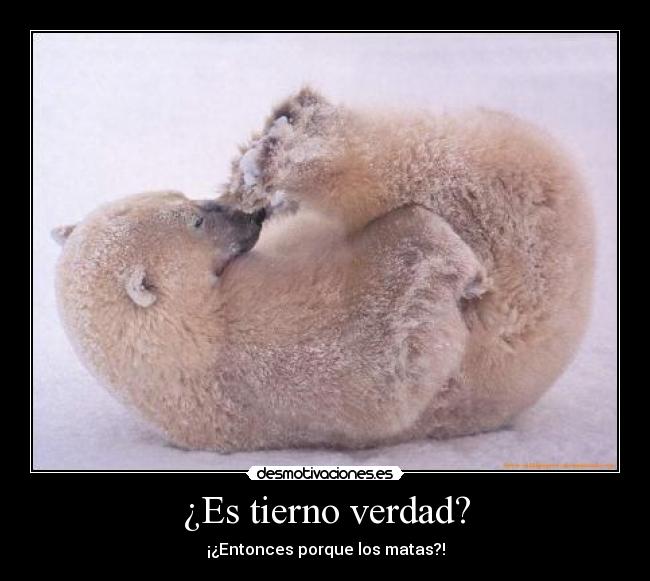 ¿Es tierno verdad? -