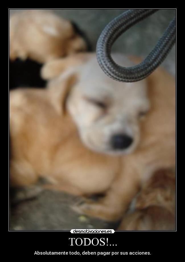 TODOS!... - Absolutamente todo, deben pagar por sus acciones.