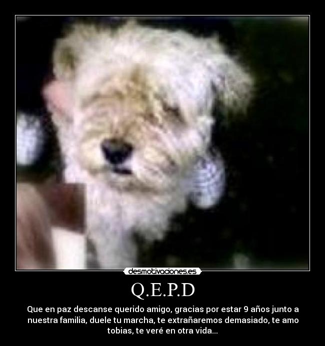 Q.E.P.D -