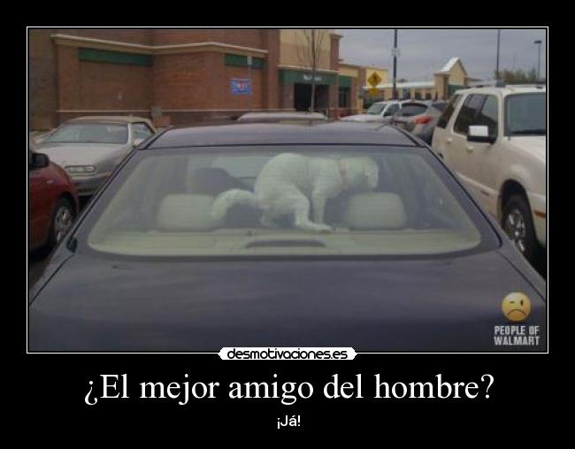 ¿El mejor amigo del hombre? - 