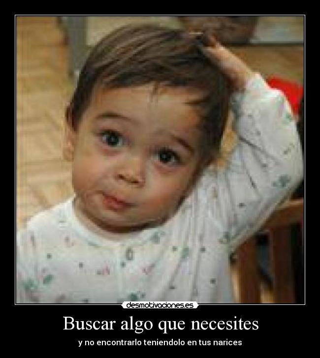 Buscar algo que necesites -