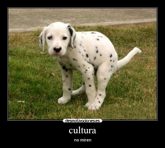 cultura -