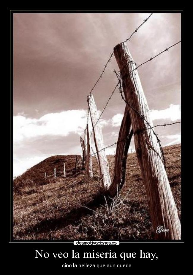 No veo la miseria que hay, - sino la belleza que aún queda