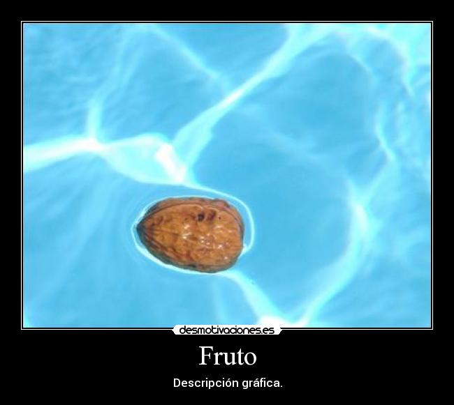 Fruto - Descripción gráfica.
