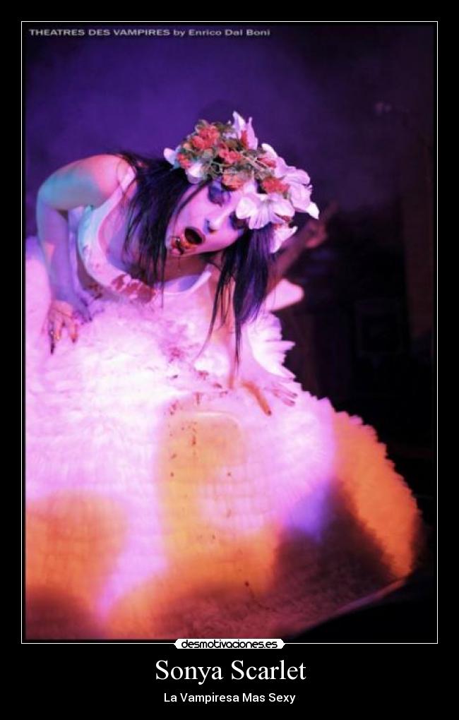 carteles theatres des vampires desmotivaciones