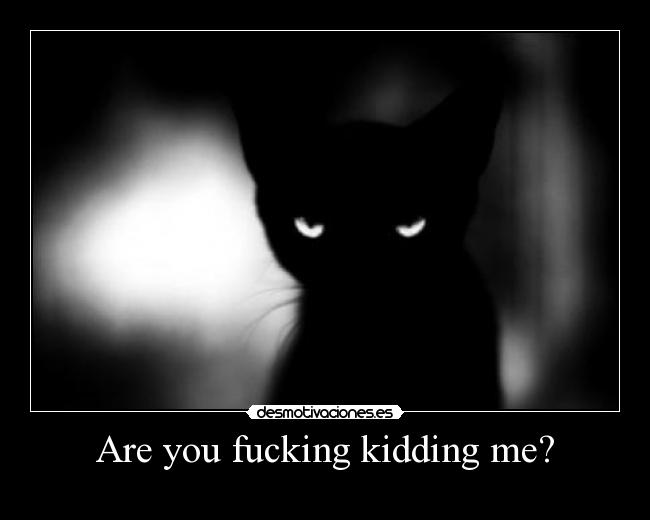 Are you fucking kidding me? -