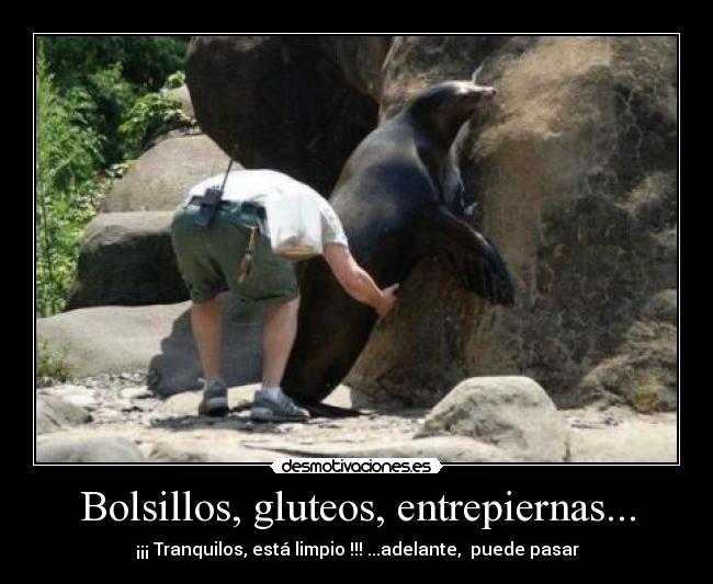 Bolsillos, gluteos, entrepiernas... - 