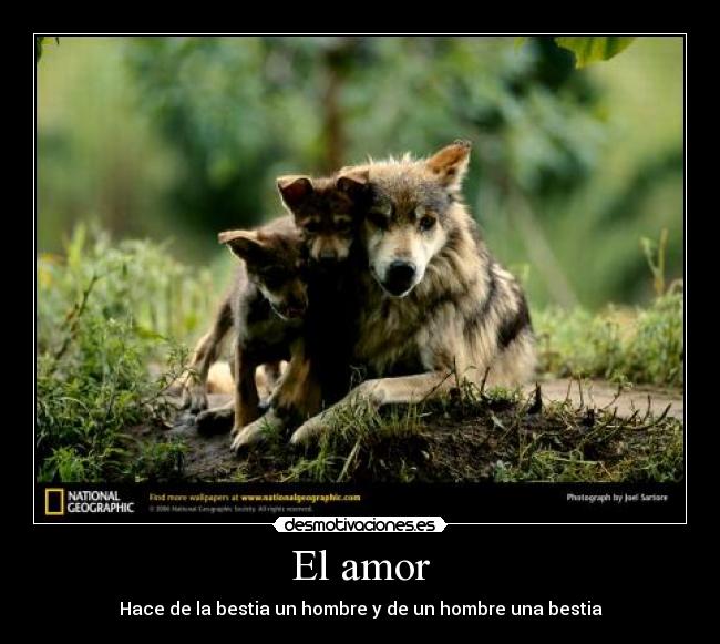 El amor -