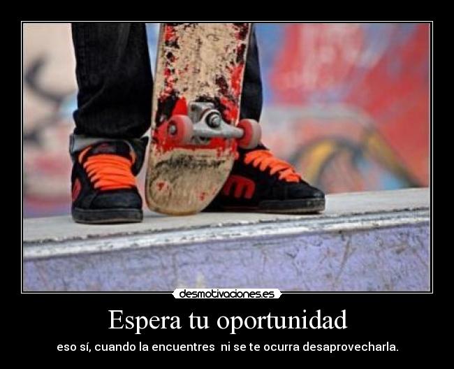 Espera tu oportunidad - eso sí, cuando la encuentres  ni se te ocurra desaprovecharla.