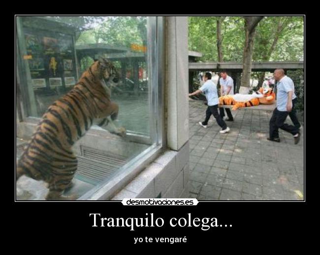 Tranquilo colega... - yo te vengaré