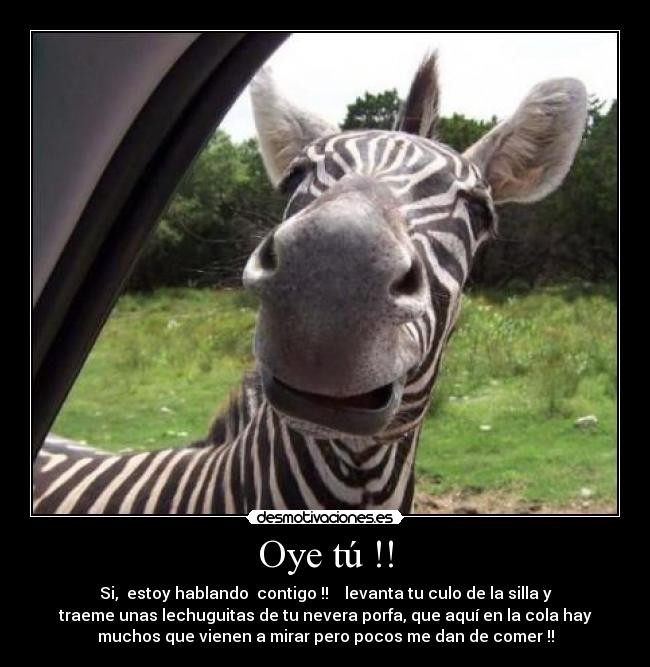 Oye tú !! - 