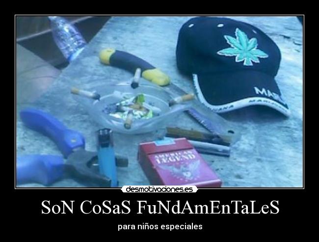 SoN CoSaS FuNdAmEnTaLeS - 